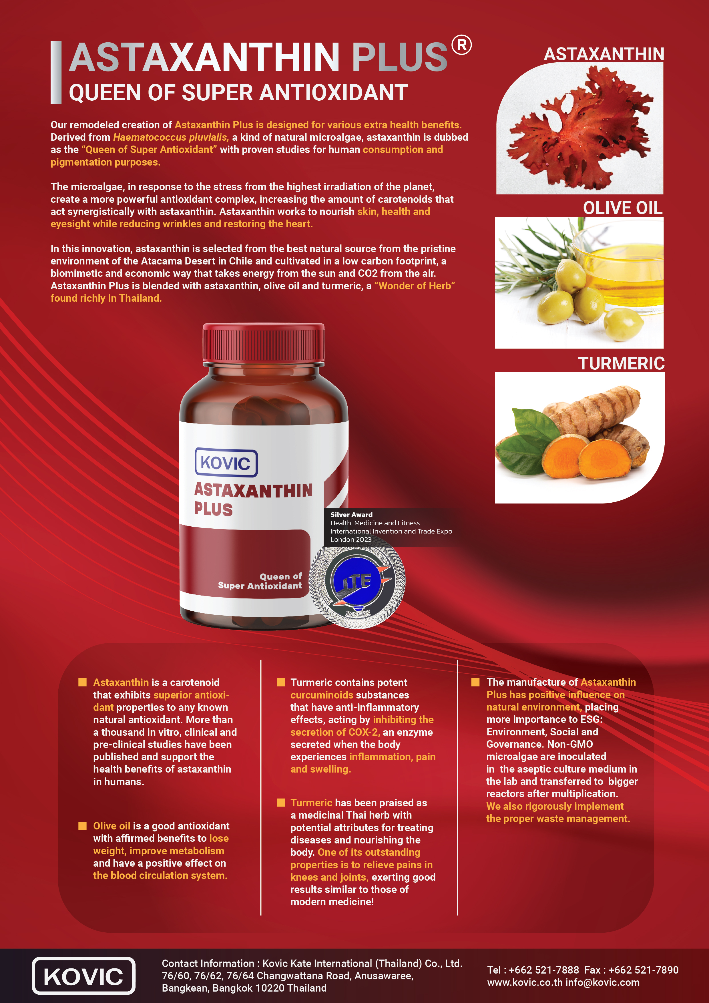 Silver Award Certificate and Medal