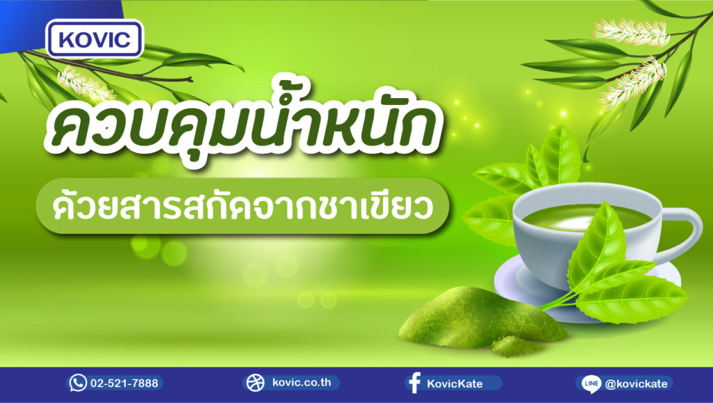 สารสกัดชาเขียว