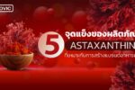 สร้างแบรนด์อาหารเสริม