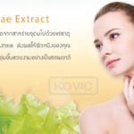 สารสกัดจากสาหร่ายทะเลน้ำลึก (Algae Extract) ส่วนประกอบการผลิตเครื่องสำอาง