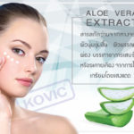สารสกัดจากว่านหางจระเข้ (Aloe Vera Extract) ส่วนประกอบการผลิตเครื่องสำอาง
