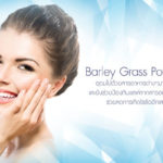 Barley Grass Powder ส่วนประกอบอาหารเสริม