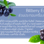 Billberry Extract