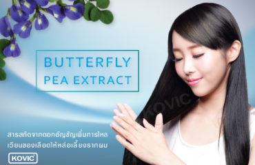 สารสกัดจากดอกอัญชัน (Butterfly Pea Extract) ส่วนประกอบเครื่องสำอาง