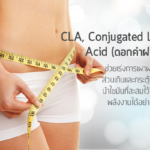 CLA,-Conjugated-Linoleic-Acid-(ดอกคำฝอย)