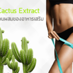 Cactus Extract