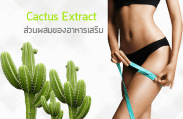 Cactus Extract