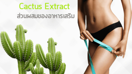 อาหารเสริม สารสกัดจากCactus-Extract กระบองเพชร Cactus Extract