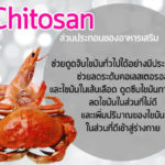 Chitosan-ส่วนประกอบของอาหารเสริม