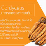 Cordyceps-ส่วนประกอบของอาหารเสริม