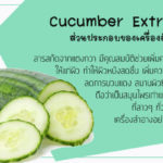 Cucumber-Extract-ส่วนประกอบของเครื่องสำอาง