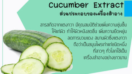 Cucumber-Extract-ส่วนประกอบของเครื่องสำอาง