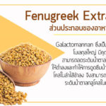 Fenugreek-Extract-ส่วนประกอบของอาหาเสริม