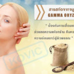 สารสัดจากจมูกข้าว