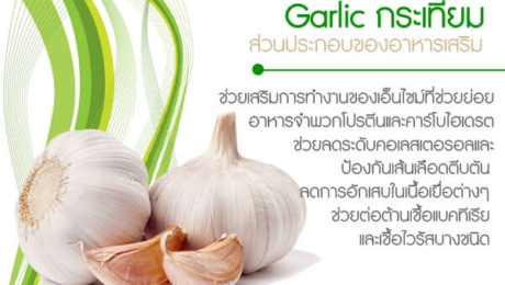 Garlic-กระเทียม-ส่วนประกอบของอาหารเสริม