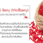 Goji-Berry-(Wolfberry)--ส่วนประกอบของอาหารเสริม