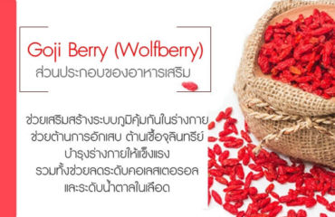 Goji-Berry-(Wolfberry)--ส่วนประกอบของอาหารเสริม