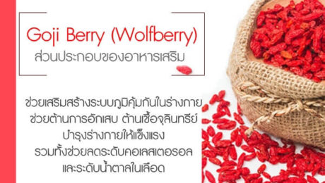 Goji-Berry-(Wolfberry)--ส่วนประกอบของอาหารเสริม