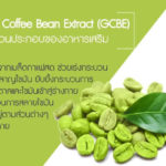 Green-Coffee-Bean-Extract-(GCBE)