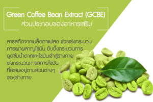 Green-Coffee-Bean-Extract-(GCBE)