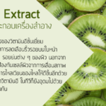 Kiwi Extract
