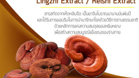เห็ดหลินจือ