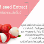 Litchi seed Extract