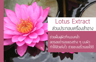 Lotus Extract
