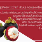 Mangosteen-Extract-ส่วนประกอบของเครื่องสำอาง