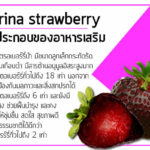 Nerina-strawberry-ส่วนประกอบของอาหารเสริม