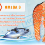 โอเมก้า 3