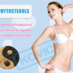 ไฟโตสเตอรอล
