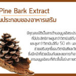 Pine-Bark-Extract-ส่วนประกอบของอาหารเสริม
