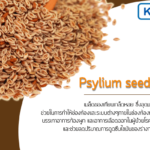 Psylium-seed-husk-ส่วนประกอบของอาหารเสริม