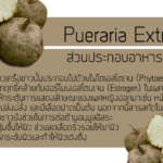 Pueraria Extract ส่วนประกอบของอาหารเสริม