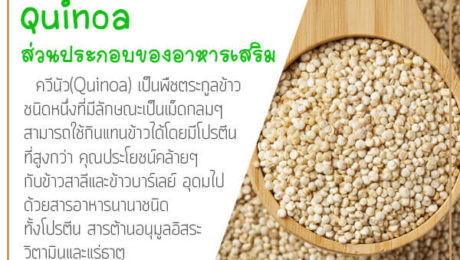 Quinoa-ส่วนประกอบของอาหารเสริม