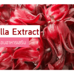 Rosella Extract