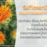Safflower(CLA)-ส่วนประกอบของอาหารเสริม