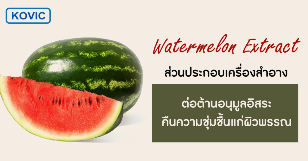 โรงงานผลิตเครื่องสำอาง