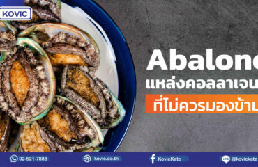 รับผลิตอาหารเสริม