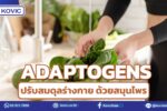 Adaptogens