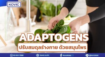 Adaptogens