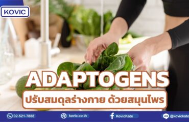 Adaptogens