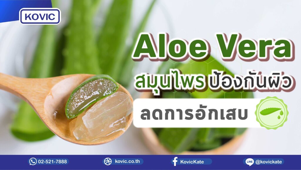 สร้างแบรนด์อาหารเสริม