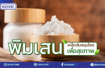 รับผลิตยาสมุนไพร