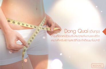 Dong Quai