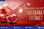 Pomegranate