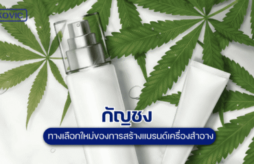hemp-a-new-alternative-for-creating-cosmetic-brands กัญชง