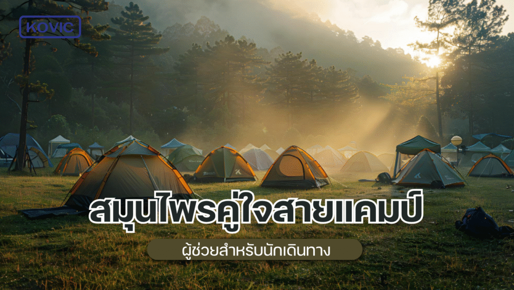 รับผลิตยาสมุนไพร