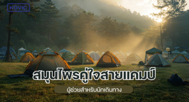 รับผลิตยาสมุนไพร